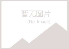 岐山县凌乱因特网有限公司